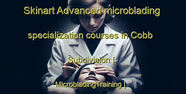 Skinart Advanced microblading specialization courses in Cobb Subdivision | MicrobladingTraining | MicrobladingClasses | SkinartTraining-United States
